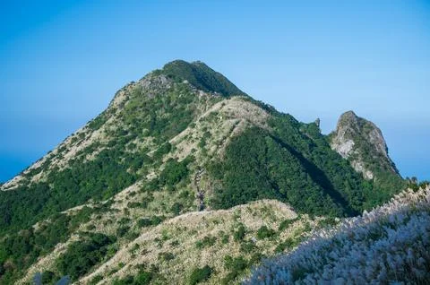 The top of the mountain is covered with white White silver grass flowers. Stock Photos