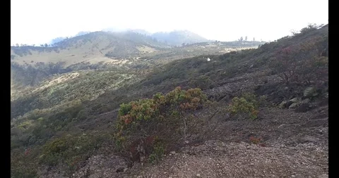 Top of the mountain Stock Footage 289041710