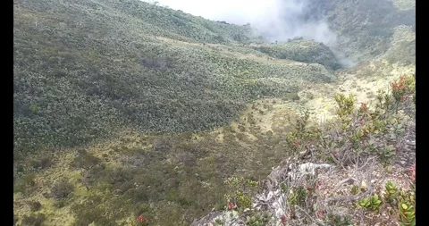 Top of the mountain Stock Footage 289041739