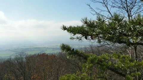 Top of Mountain Looking Over Valley with Pine Tree During Autumn, 4K Stock Footage 56930238