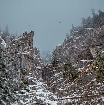 On top of the mountain 스톡 사진