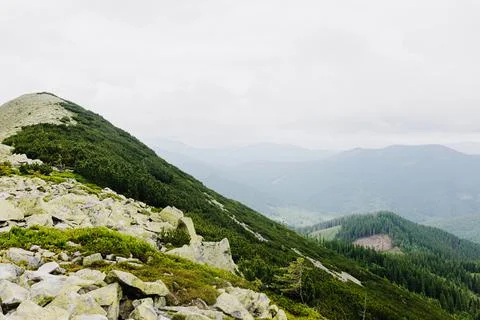 From the top of the mountain range to the mountains in the pine forest Stock Photos