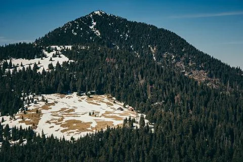 Top in the mountains in a coniferous forest, spring Stock Photos