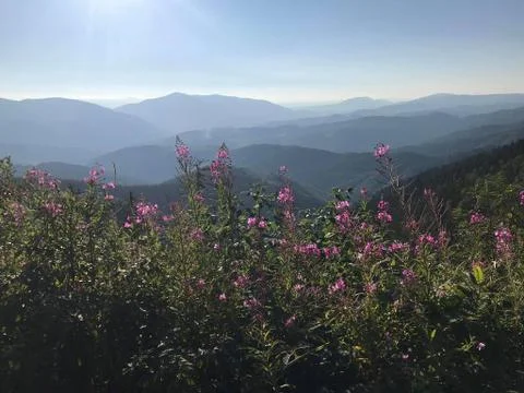 At the top of the mountains Stock Photos