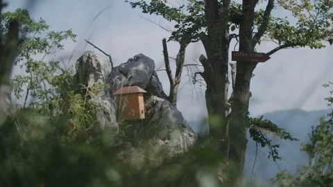 Top of the moutain Video stock 90284081