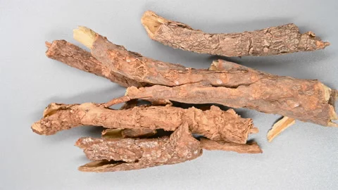 Top pan herb WuJiaPi or Acanthopanacis Cortex or SlenderstyleAcanthopanax Roo Stock Footage 163863407