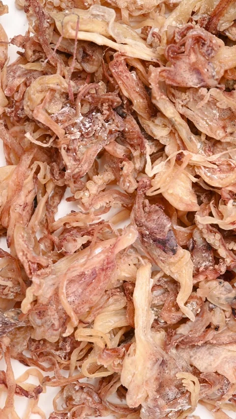 Top pan raw dried squid at vertical composition Stock Footage 251094603
