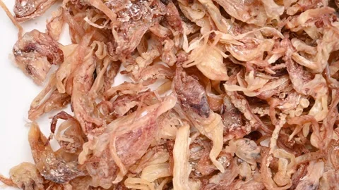 Top pan raw dried squid at horizontal composition Stock Footage 251426577