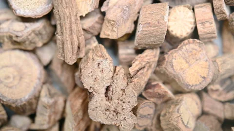 Top pan view herb Jishiteng or Paederiae Scandentis Herba et Radix or Chinese Video stock 145988840