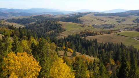 Top panoramic view on the Carpathian mountains in autumn. Ukraine. 스톡 동영상 123288153