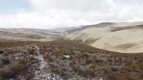 Top of paramo santurban mountain glide shot Vídeo Stock 157089079
