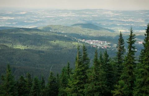 On the top Stock Photos