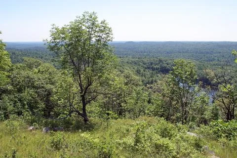 At The Top Stock Photos