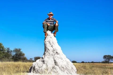 On Top of The Pile Stock Photos