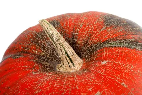 Top of pumpkin on white background Stock Photos