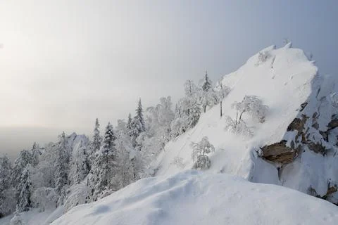 The top of the rocks, trees covered with first bright snow. The concept of wi Stock Photos