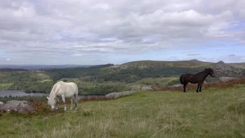 On top of Sheepstor Dartmoor Devon England Stock Footage 138444294