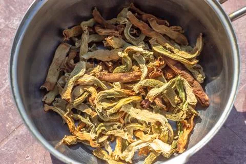 Top shoot of string beans dried under the sunlight on the cook pot Stock Photos