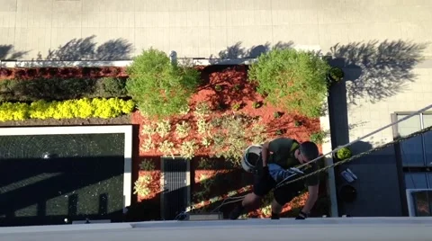 Top shoot of windows washers cleaning at high rise building Stock Footage 55168517