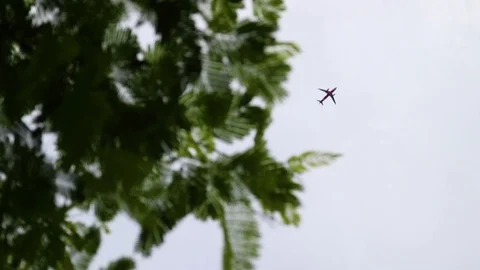Top Shot of an Airplane pass-by Stock Footage 109699037