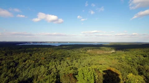 Top shot from the berlin forest Stock Footage 42023810