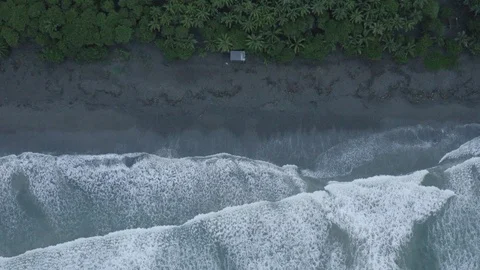 Top shot of dark sand beach Stock Footage 120201429