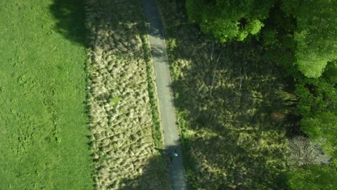 Top shot of dog walker through trees Stock Footage 155470924