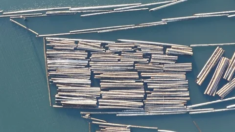 Top Shot Floating Logs in Water Mill Timber Rafting - Aerial View Stock Footage 105340185