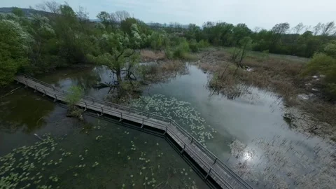 Top shot of a meadow with a bridge Stock-Footage 277640078