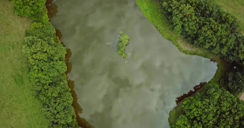 Top shot over a pond Vídeo Stock 167654635