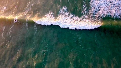Top shot of surfers riding waves Stock Footage 340557623