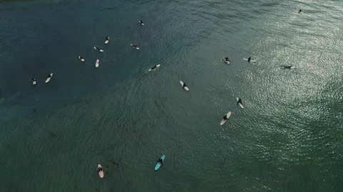 Top static view group of professional surfer on board waiting sea wave aerial Stock Footage 127603240