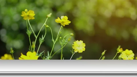 Top table bar on flower nature background Stock Footage 132596676