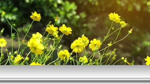 Top table bar on flower nature background Stock Footage 132596687