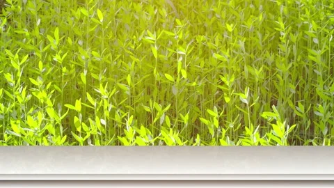 Top table bar on green leaf nature background Stock Footage 132596772