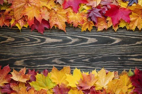 Top table view on multi-colored bright maple leaves. Foto stock