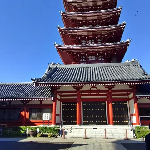 Top of a temple shot Stock Footage 236265496
