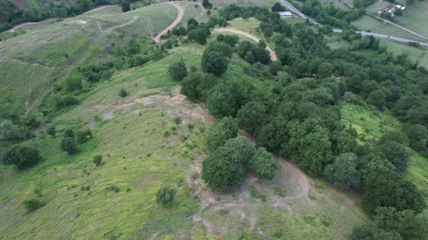 Top of tree on mountain Stock Footage 229311406