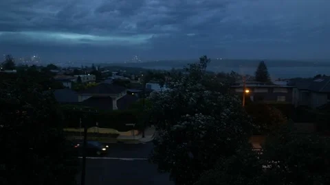 Top of trees in strong wind and lightning over Sydney city 6K Stock Footage 298096446