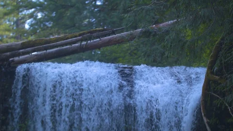 Top of the Upper North Falls at Silver Falls Stock Footage 91264505