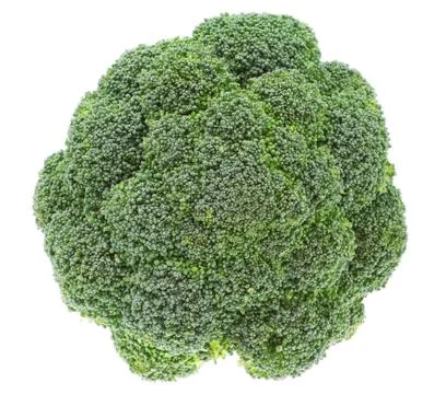 The top of vegetables broccoli on a white background. Closeup. Stock Photos