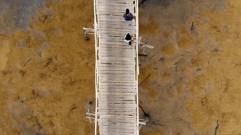 Top view of 2 people walking on the wood bridge. Video stock 102187027