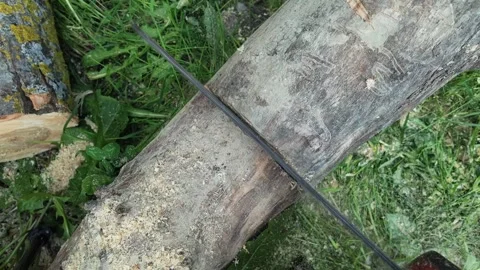 Top view 240fps slow motion of chainsaw blade cutting wood log flying sawdust Video stock 335308569