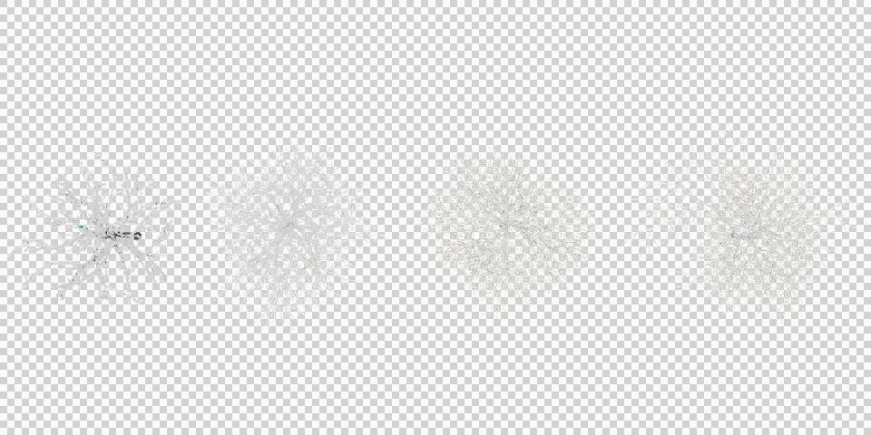 From top view of 3d rendering of Winter trees on snow isolated background Stock Illustration