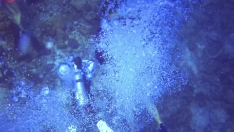 Top view of 4 divers underwater research the coral reef. Maldives Stockbeeldmateriaal 171318466