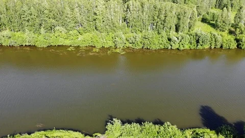 Top view above the river in the forest on a Sunny summer day Stock-Footage 123986476