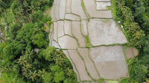 Top view of Abstract geometric shapes of agricultural parcels in green color Stock Footage 128246158
