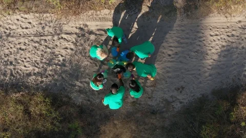 Top view of activists posing around pile of trash Stock Footage 119183747
