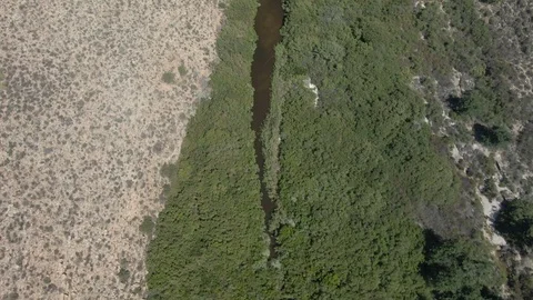 Top View Aerial Desert Desolate Green Valley and River Stock Footage 119453771