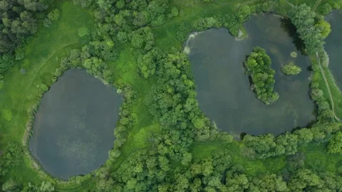 Top view aerial flight over small lake of perfectly round shape. Moving up, clea Stock Footage 208422546